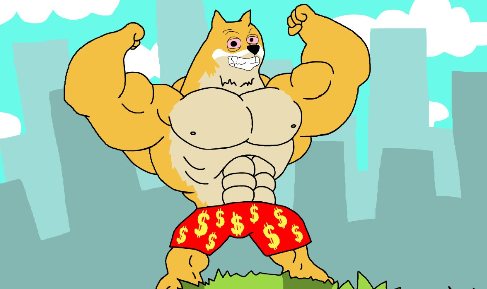 maxidoge