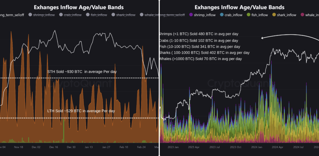 CryptoQuant