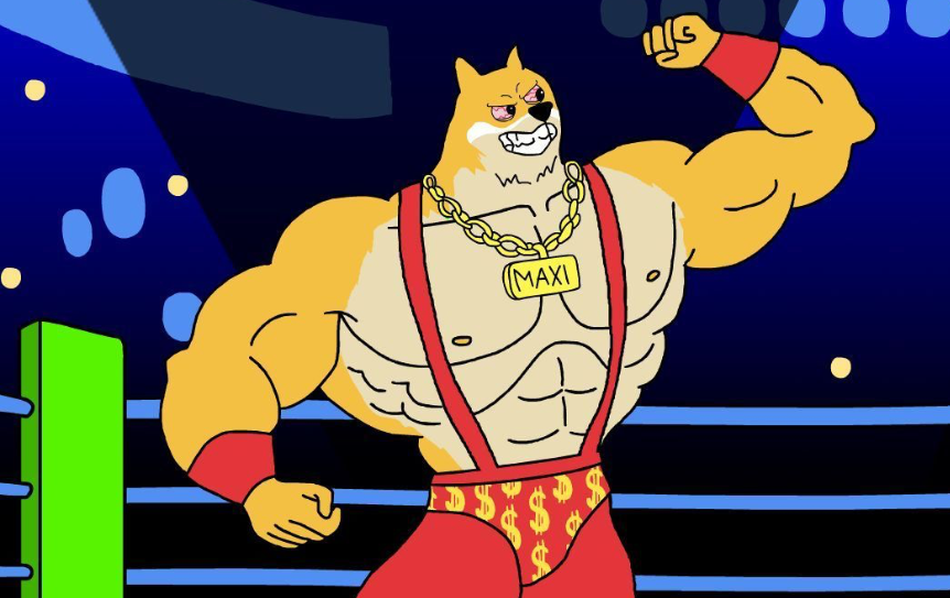 maxi doge