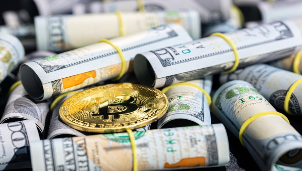 Roadmap und Momentum: Vom Presale zum Launch-Pump